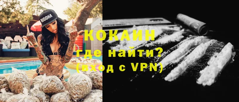 omg сайт  Северская  COCAIN VHQ 