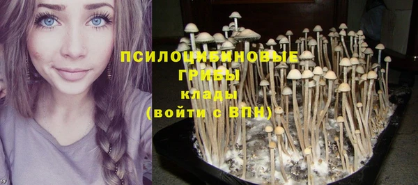 кокаин премиум Щигры